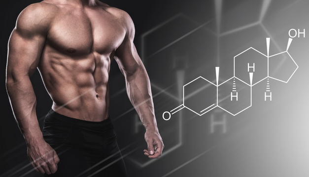 TRT and Body Composition: Hormonal Influence on Muscle and Fat post thumbnail image